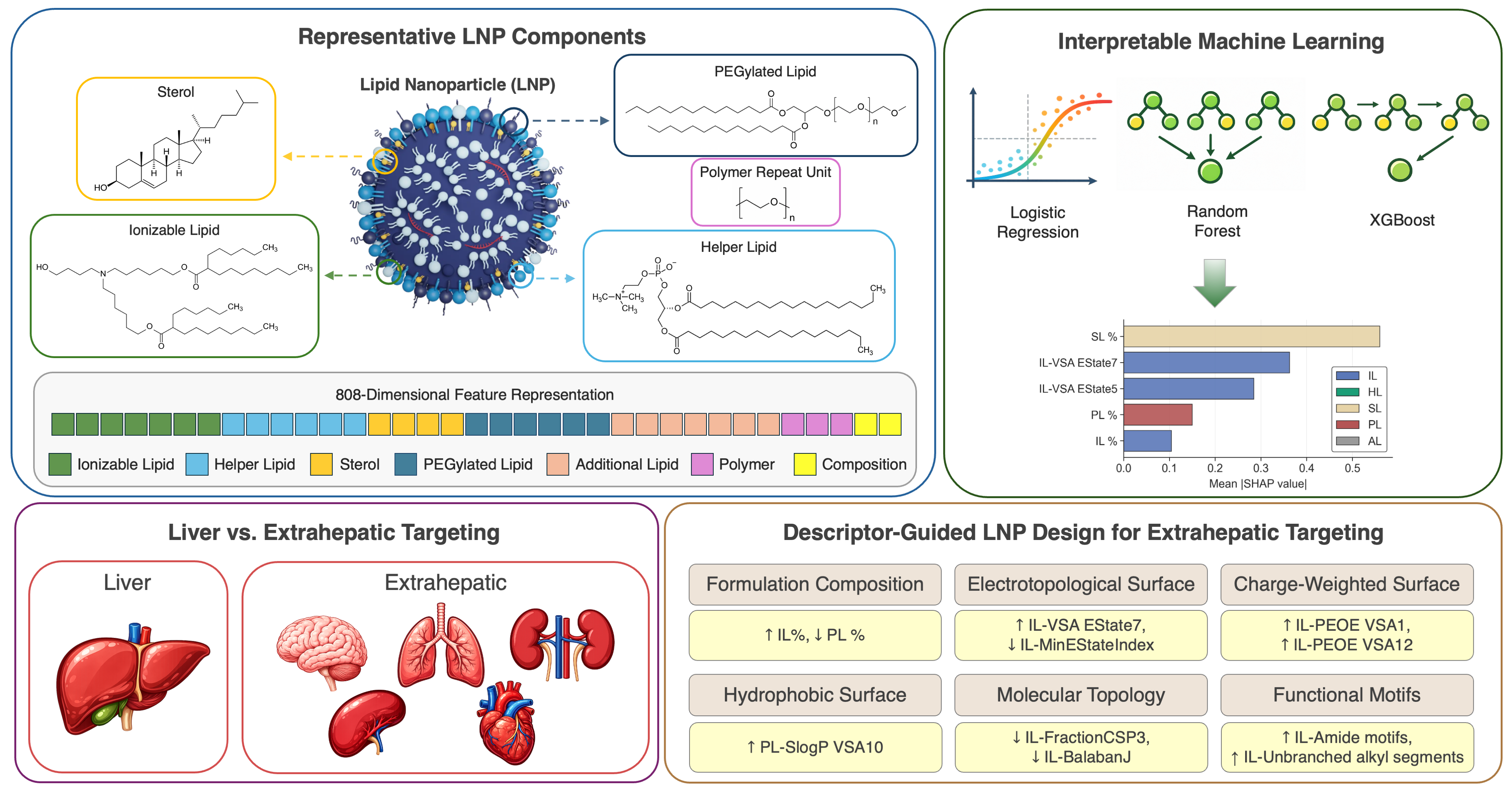 Decoding Extrahepatic LNP project: interpretable machine learning for extrahepatic targeting