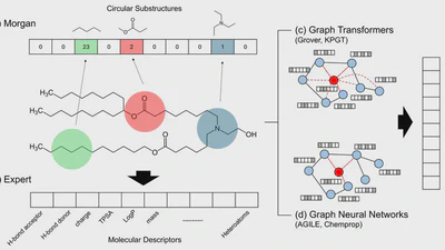 LANTERN: A Machine Learning Framework for Lipid Nanoparticle Transfection Efficiency Prediction featured image